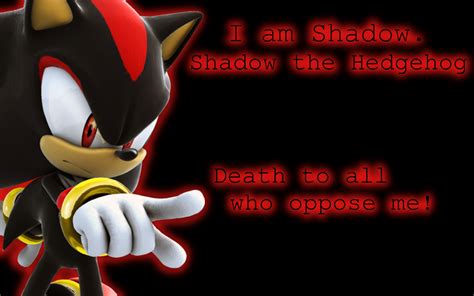 Quotes From Shadow The Hedgehog. QuotesGram