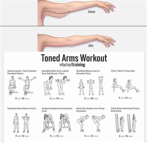 Pin by Kim Green on Exercise | Tone arms workout, Arm workout, Workout