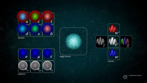 The Standard Model Of Physics | The Secrets Of The Universe