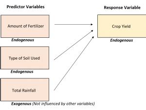 Endogenous vs. Exogenous Variables: Definition & Examples