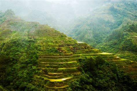 The Ifugao Rice Terraces