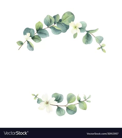 Watercolor frame with eucalyptus leaves vector image | Wreath ...