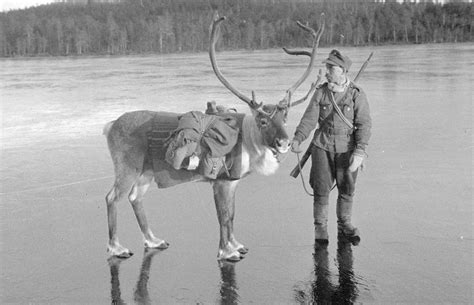 The amazing story of Finland in World War II through rare photographs ...