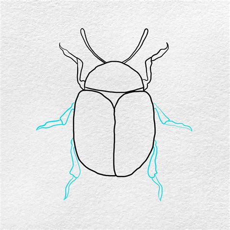 Beetle Drawing - HelloArtsy