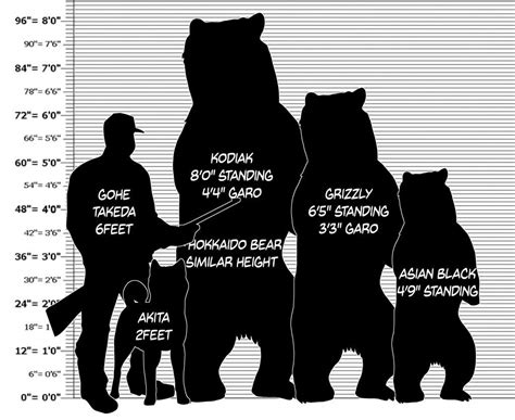 Polar Bear Kodiak Bear Size Comparison at Ruby Najar blog