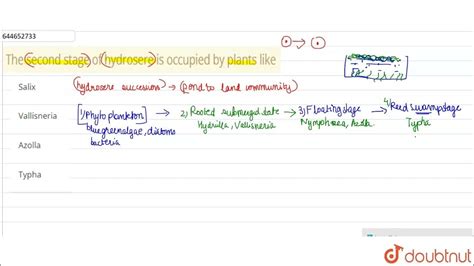 The second stage of hydrosere is occupied by plants like | 12 ...