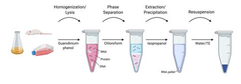 Addgene: Kit Free RNA Extraction