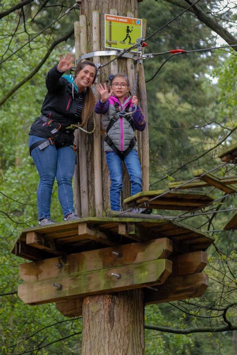 Tree Top Adventure at Go Ape, Thetford Forest. - Dinky Pix