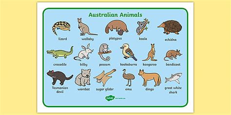 Native Australian Animals With Words Mat (Teacher-Made)