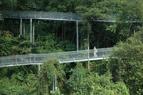 Singapore — Biophilic Cities