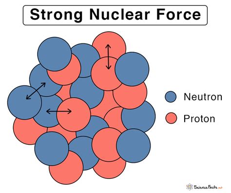 Strong Nuclear Force: Definition, Properties, and Examples