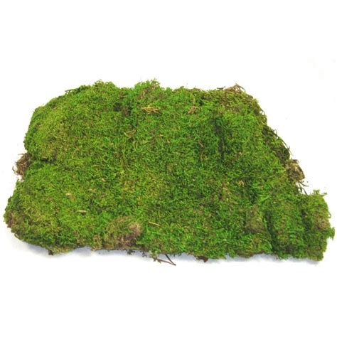 Sheet Moss - Advanced Husbandry Ltd