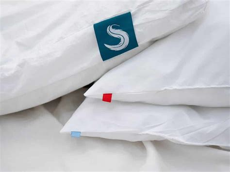 Sleepgram Pillow Review (2024) Top Qualities! | Sleepopolis