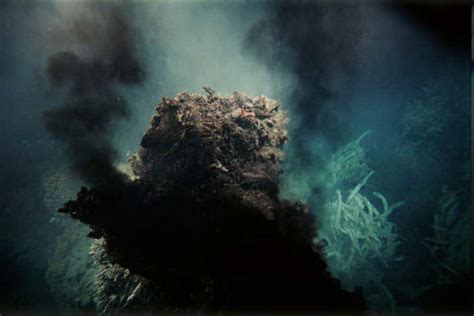 Deep-sea hydrothermal vents team with life. How are they colonised ...