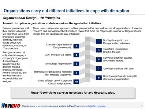 10 Principles of Organizational Design | flevy.com/blog