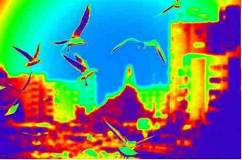 Best Infrared Thermal Camera App For Android and iPhone