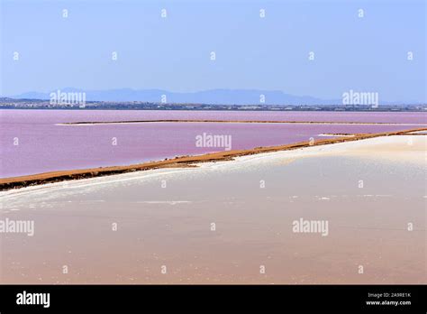 Pink salt lakes at the Torrevieja salt works, Torrevieja, Alicante ...