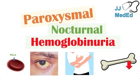 Paroxysmal Nocturnal Hemoglobinuria (PNH) | Causes & Pathogenesis ...