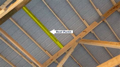 What Is A Roof Purlin, And Why Is It Important?, 49% OFF