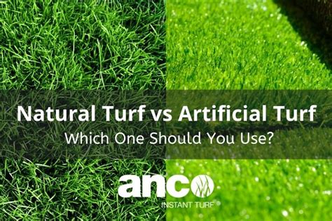 Natural Turf vs Artificial Turf - Which One Should You Use?