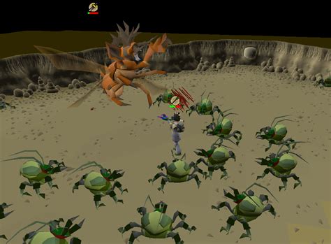 Killing the Kalphite Queen - OSRS Wiki