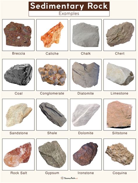 Sedimentary Rocks - Definition, Formation, Types, & Examples