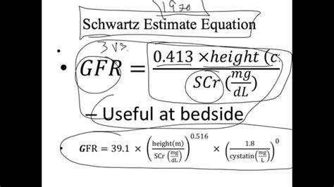 Calculate Gfr Mdrd Equation - Tessshebaylo