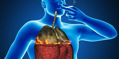 Smokers Or Past Smokers: Six Ways To Cleanse And Revitalize Your Lungs ...