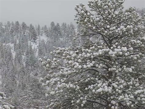 Storm drops snow on Mount Charleston