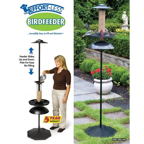 Pole Mounted Bird Feeder With Anti Squirrel Baffle | Best Squirrel ...