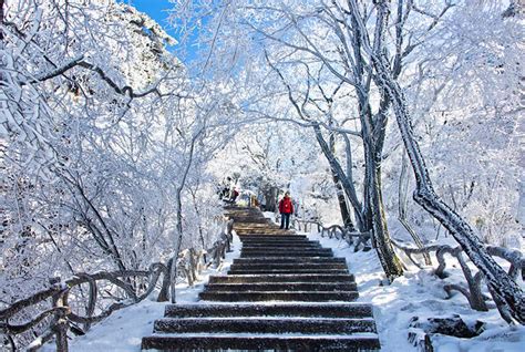 Huangshan Winter, Yellow Mountain Winter