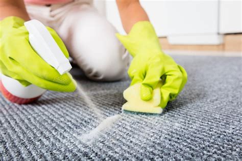 How to Clean Carpet with Baking Soda and Vinegar | SW Cleaners