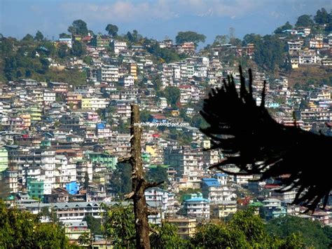 anythinglily: Kalimpong Travel Part 1: Walking The Streets Of Kalimpong