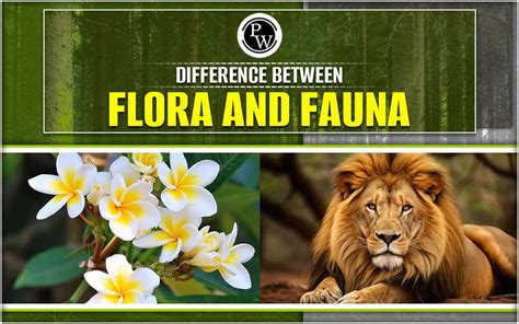 Difference Between Flora And Fauna, Major Differences