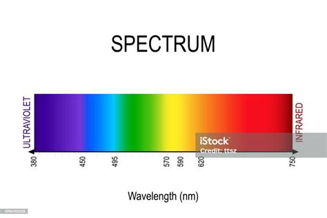 Spectrum Visible Light Infrared And Ultraviolet Stock Illustration ...