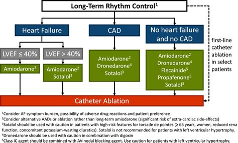 Atrial Fibrillation - Cardio Guide