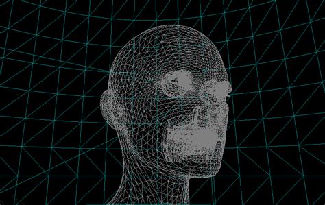 Wireframe visualisation of the adopted 3D face model consisting of ∼ ...