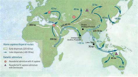 Homo Sapien Migration