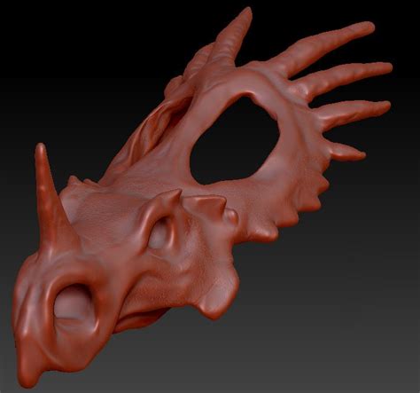 Alyson Phillips: Styracosaurus Skull - WIP