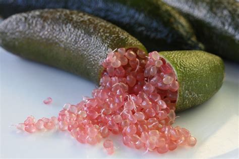 Finger limes Pink :: Fingerlimes Fresh