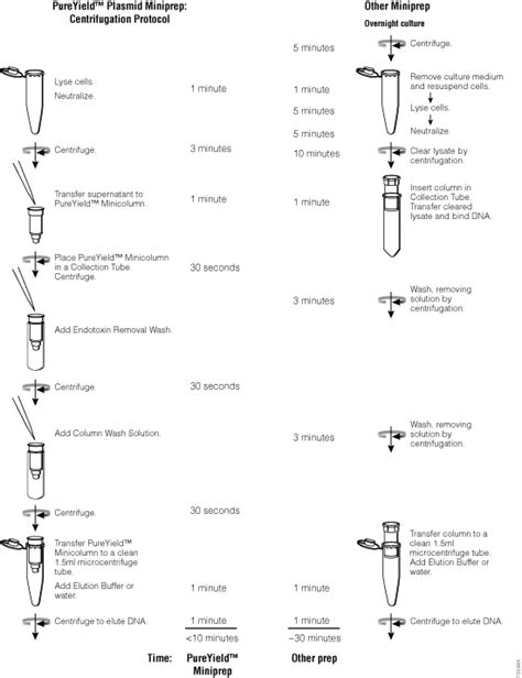 DNA Purification | DNA Extraction Methods | Promega