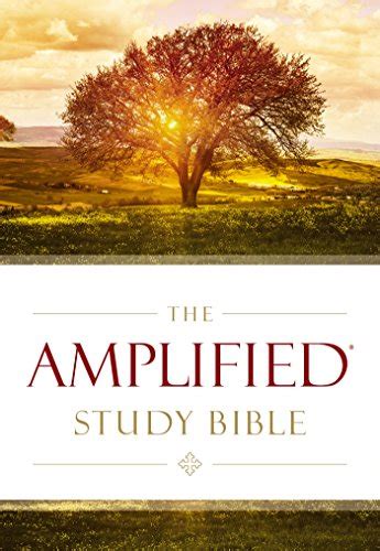 10 Best Amplified Bible Large Print Red Letter In 2023 – IHES.COM