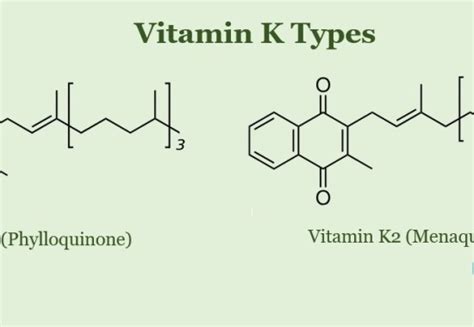 Difference Between Vitamin K and K2 - Pediaa.Com