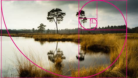 A Bit of History About the Golden Ratio and Rule of Thirds – Seriously ...