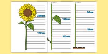 👉 Flower Height Chart (Teacher-Made)