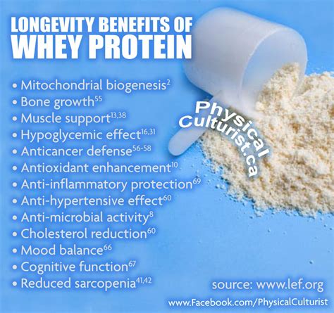 Benefits Of Whey Protein Powder