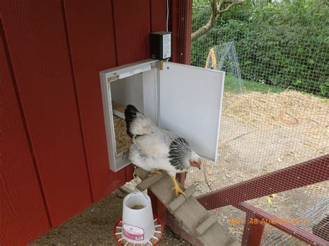 Chicken Door | BackYard Chickens - Learn How to Raise Chickens