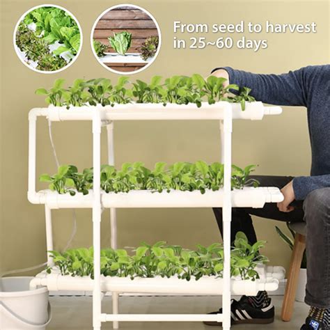 * Home Hydroponic Kit | Buy Online & Save - Free Shipping