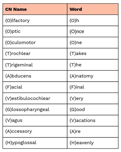 Cranial Nerves List