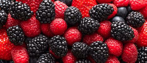 A Comprehensive A-Z List Of Berry Types From Acai To Tayberry ...